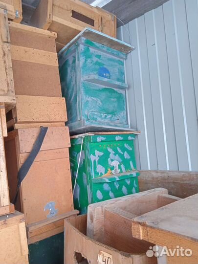 Ловушка для пчел