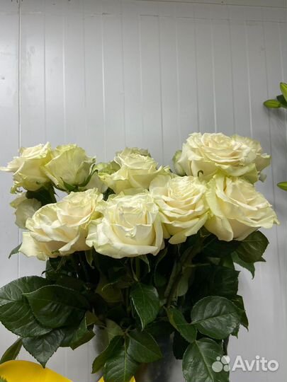 Цветы и букеты 24/7