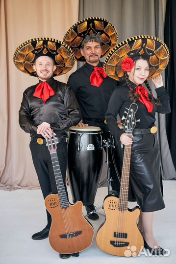 Дуэт гитархит