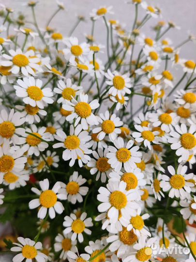 Консультант по грудному вскармливанию