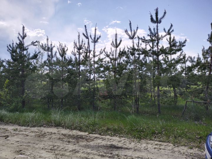 Участок 6,8 сот. (ИЖС)