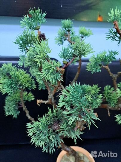 Бонсай декоративный искусственный, ручная работа