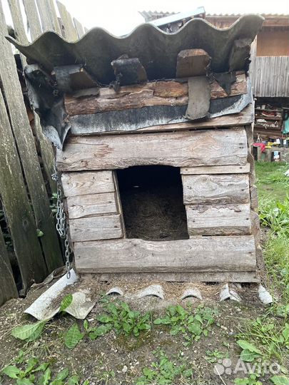 Будка для собаки