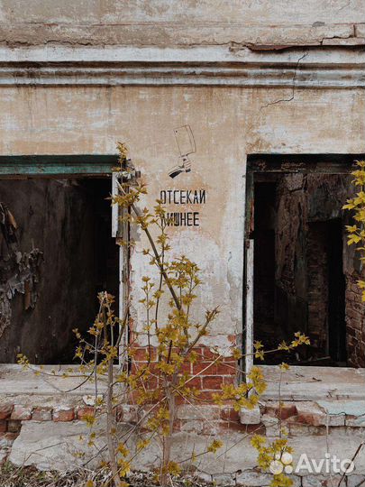 Необычные экскурсии