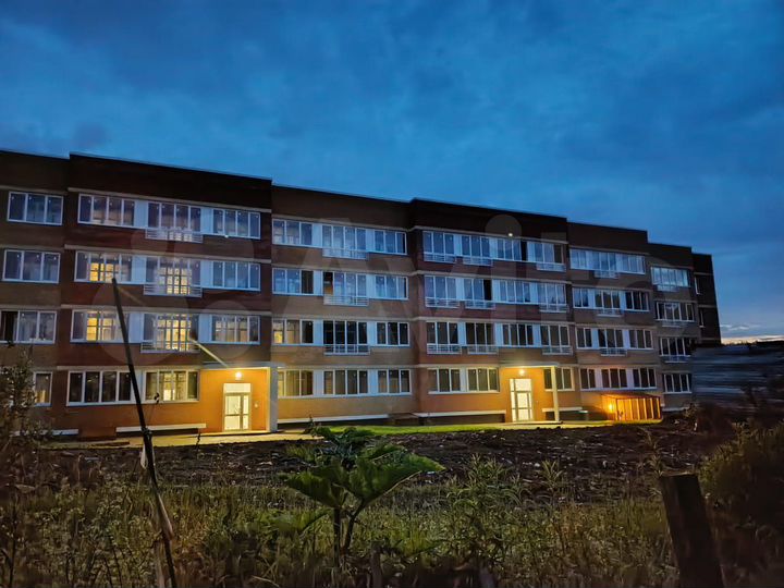 1-к. квартира, 61 м², 4/4 эт.