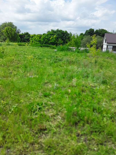 Участок 9,6 сот. (СНТ, ДНП)