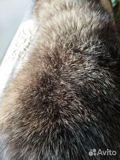 Воротник меховой песец