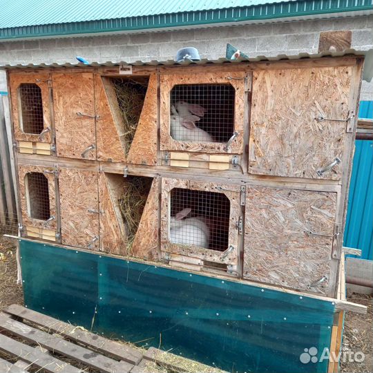 Клетки для кроликов