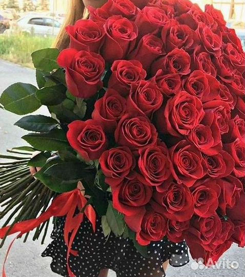 Высокие розы Гигантские Розы 150 160 170 180 190см
