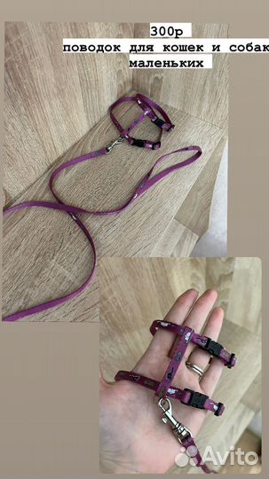 Поводки для собак и кошек