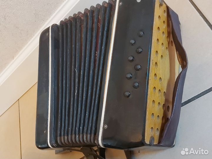 Аккордеон Беларусь