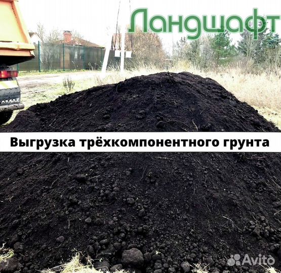 Эконом рулонный газон с завозом грунта мо