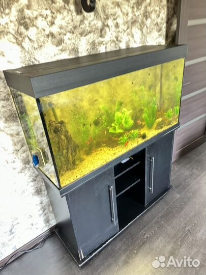 Аквариум