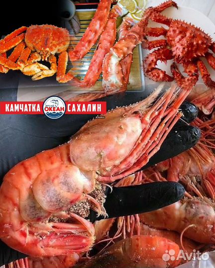 Рыба морепродукты икра