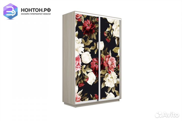 Шкаф-купе 2-х дверный Нонтон фото №1020 / ясень ши