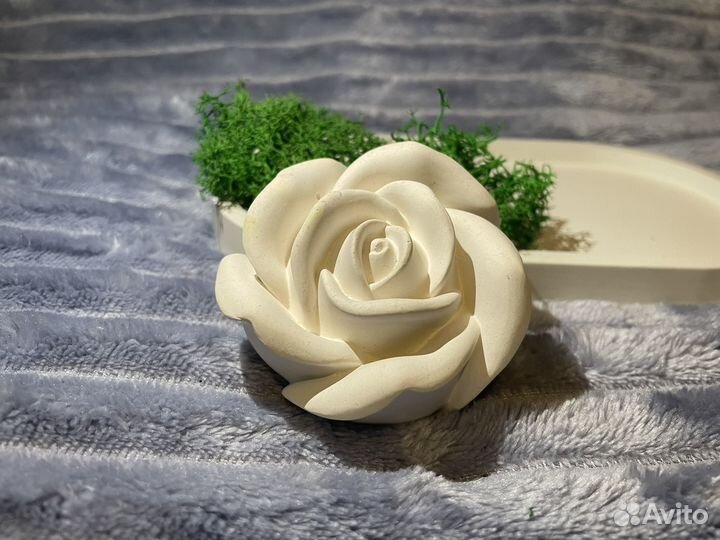 Гипсовые раскраски