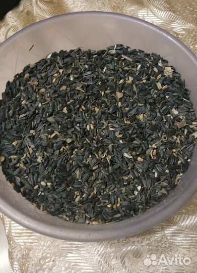 Продам семечки