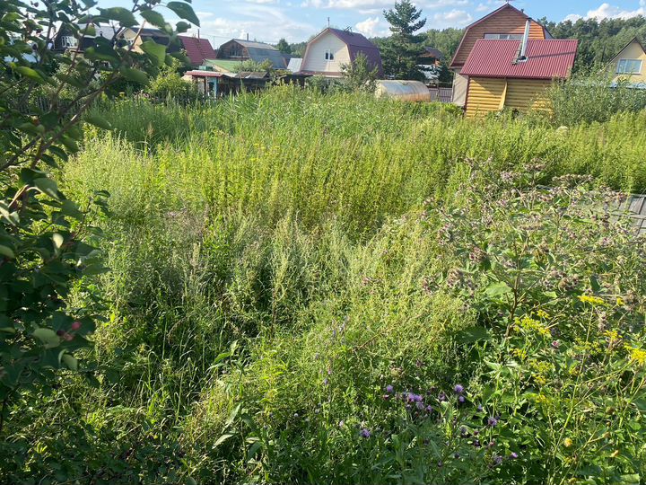 Участок 3,8 сот. (СНТ, ДНП)