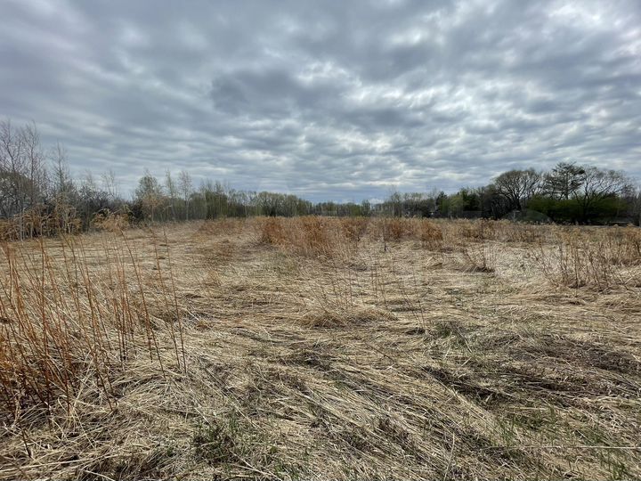 Участок 30 сот. (ИЖС)