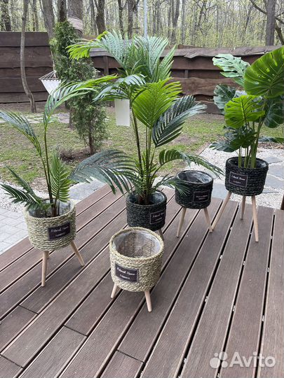 Искусственная пальма