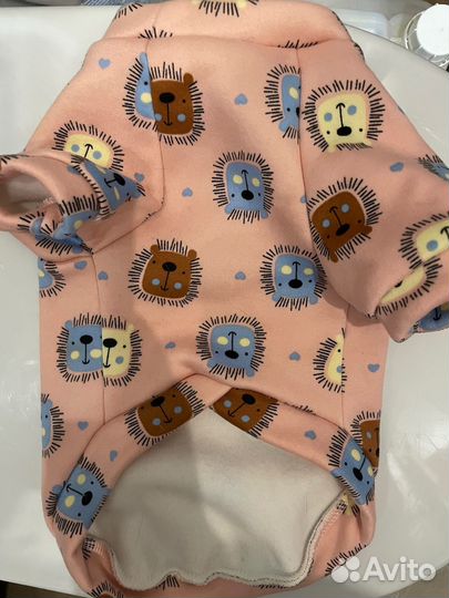 Одежда для животных