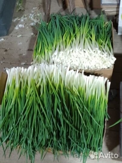 Продаю свое