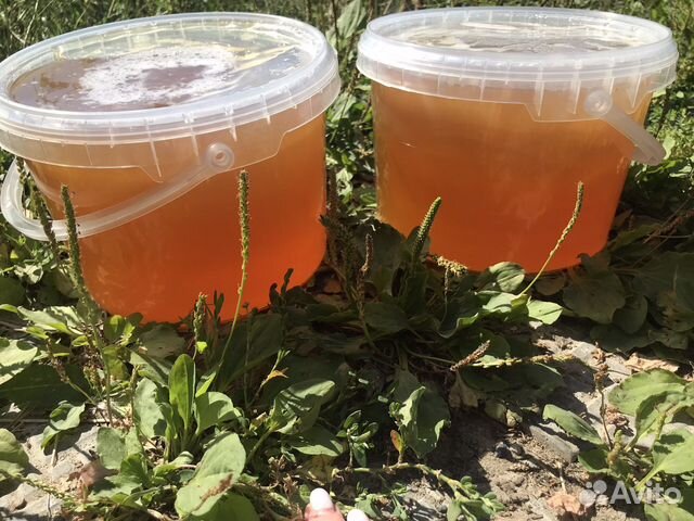 Мед этого года 2024