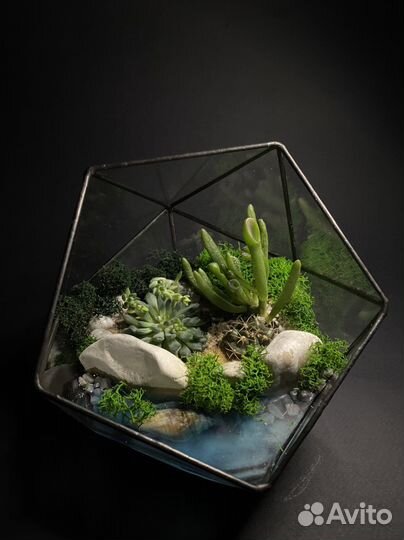 Флорариум с кактусом и суккулентами