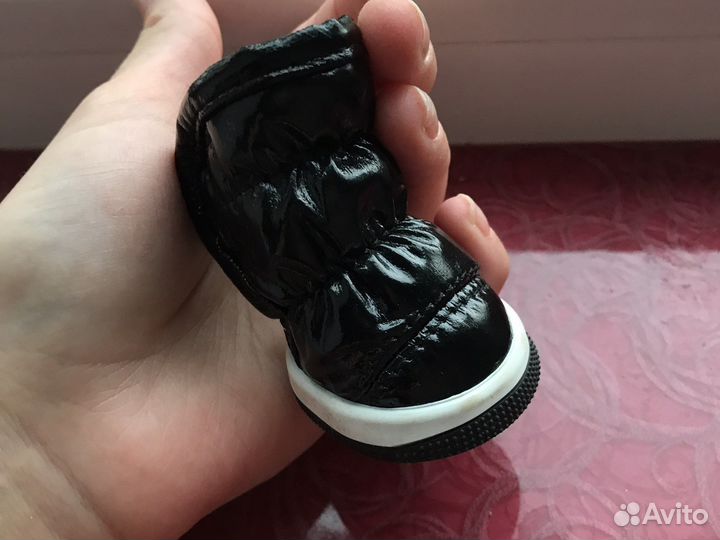 Ботинки и куртка зимние для собак чихуа