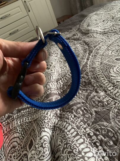 Поводок с ошейиком для собаки