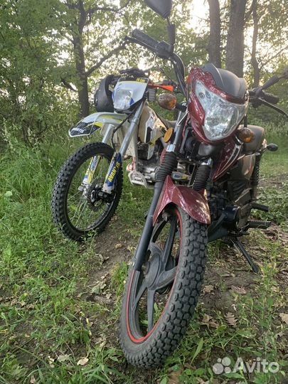 Avantis fx250lux