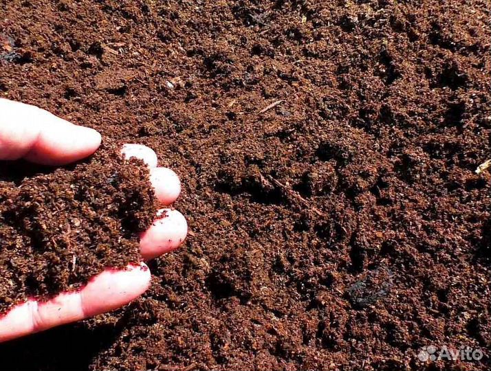 Конский перегной. Доставка по городу Бесплатная