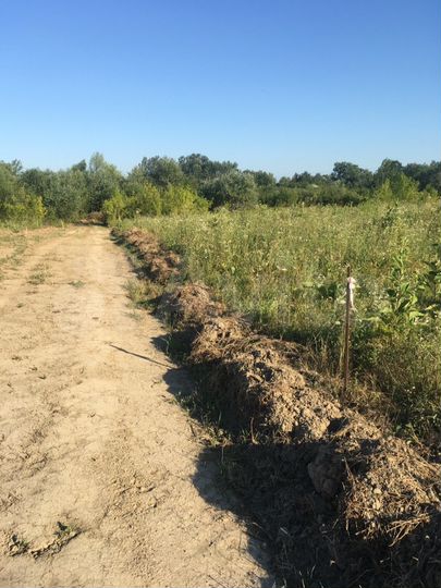 Участок 6 сот. (ИЖС)