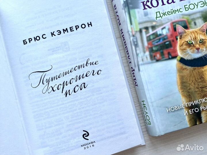 Много книг/ книга