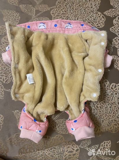 Одежда для собак