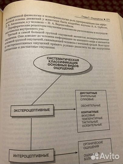 А.Г. Маклаков, Общая психология
