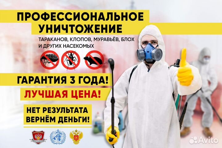 Уничтожение клопов, травить тараканов. Дезинфекция