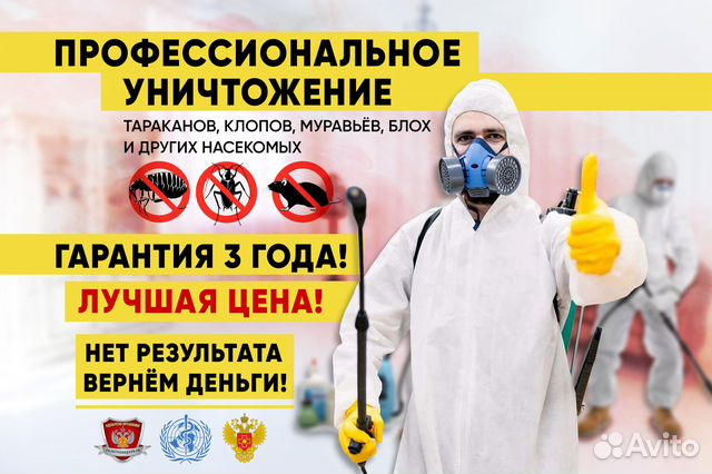 Уничтожение клопов, травить тараканов. Дезинфекция