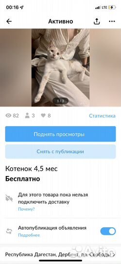 Котенок 4,5 мес
