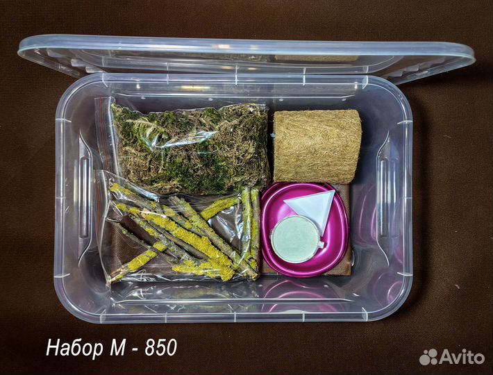 Террариумы для ахатин улиток, наполнение