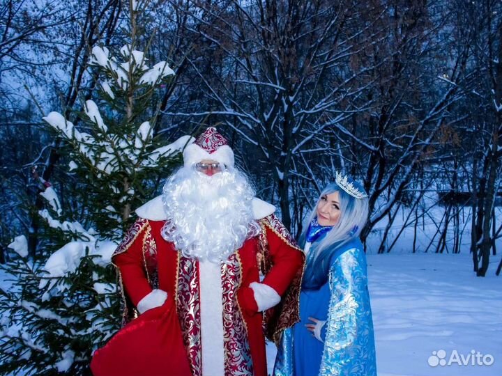 Дед Мороз на дом