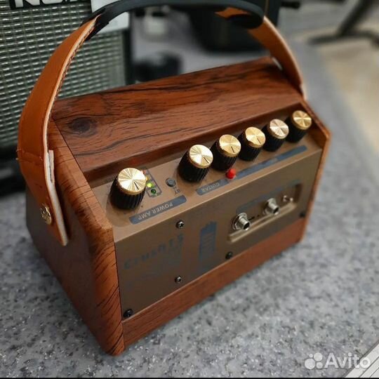 Аккумуляторный комбо для акустической гитары