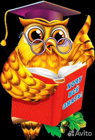 Образование