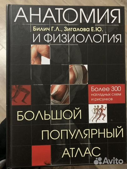 Анатомия и физиология человека