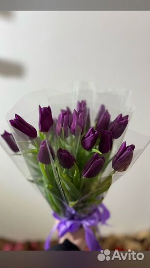 Тюльпаны к 8 марта