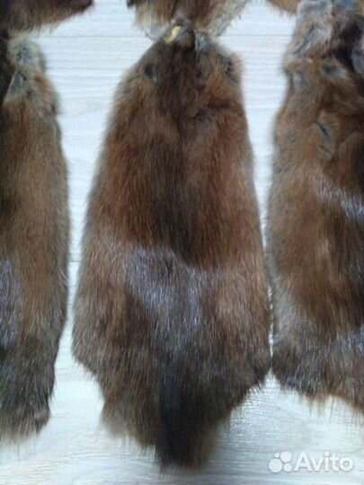 Шкурки ондатры 10шт