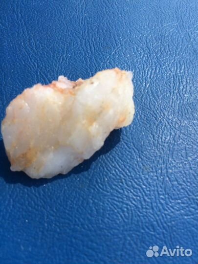 Набор. Окаменелости, ракушки, минералы