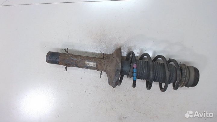 Амортизатор подвески Audi A3 (8L1), 1998