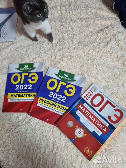 Огэ математика, русский язык 2022, математика 2021