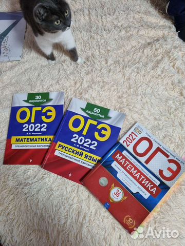 Огэ математика, русский язык 2022, математика 2021